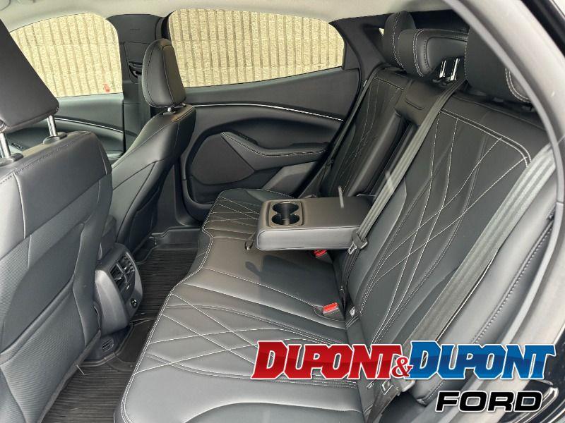 Ford Mustang Mach-e 20