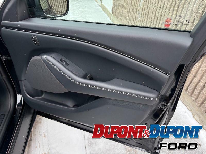 Ford Mustang Mach-e 24