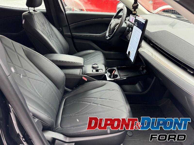 Ford Mustang Mach-e 25