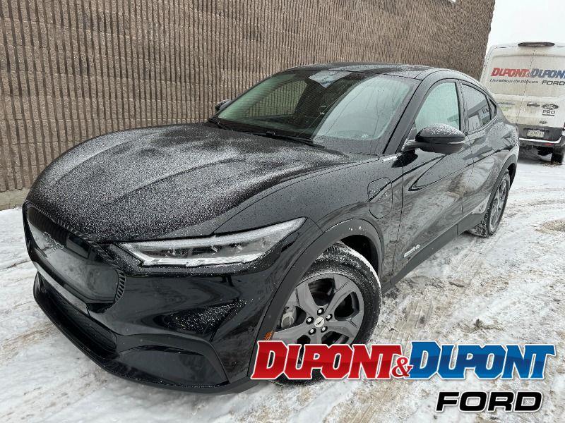 Ford Mustang Mach-e 31