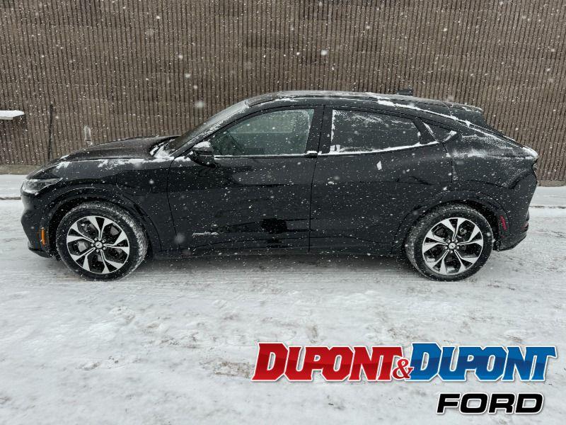 Ford Mustang Mach-e 2