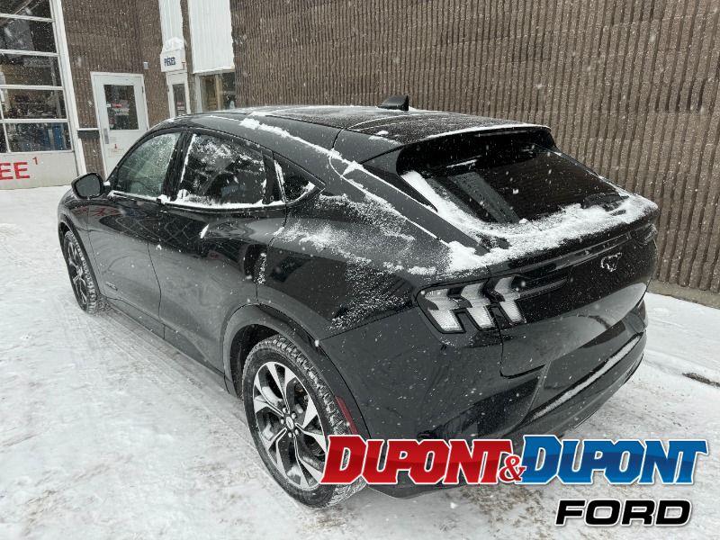 Ford Mustang Mach-e 3