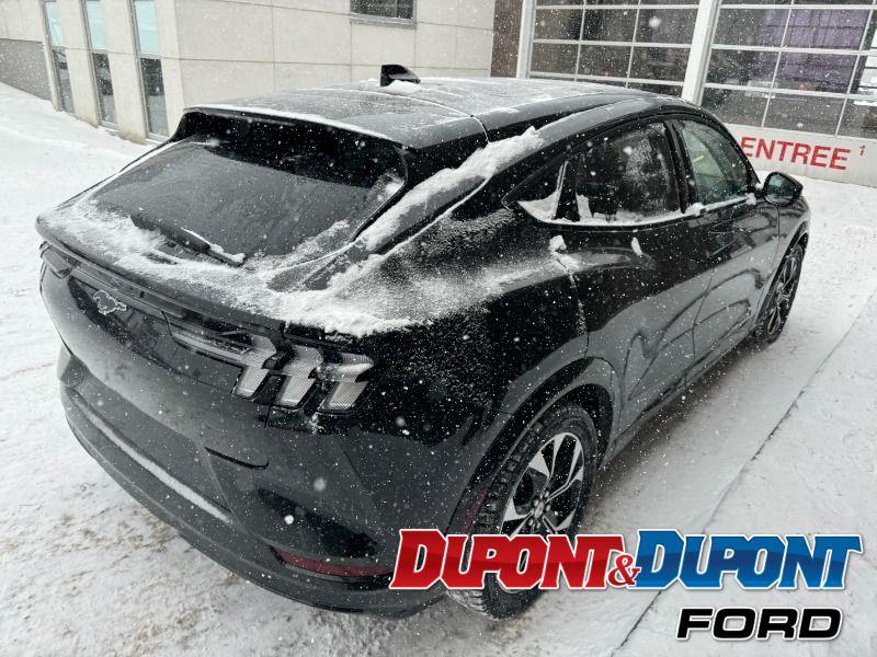 Ford Mustang Mach-e 5