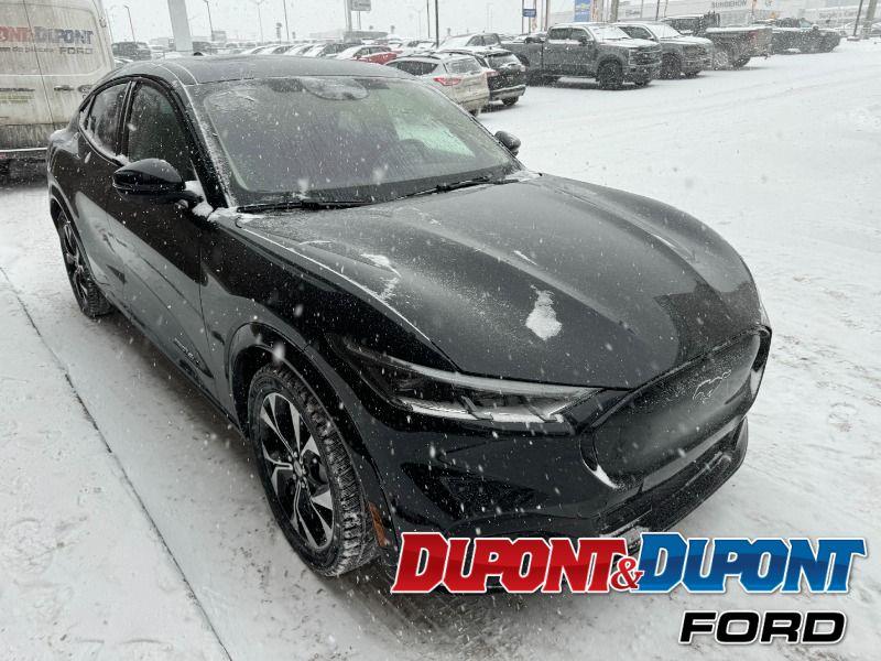 Ford Mustang Mach-e 6