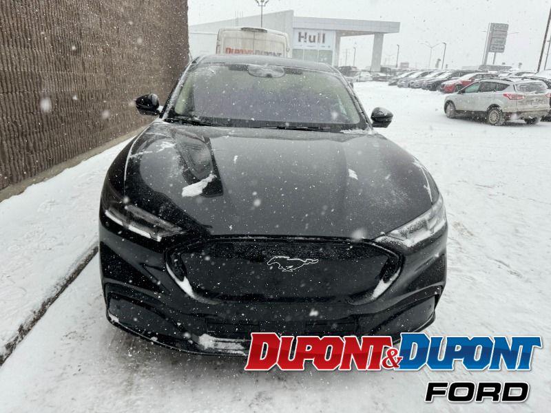 Ford Mustang Mach-e 7