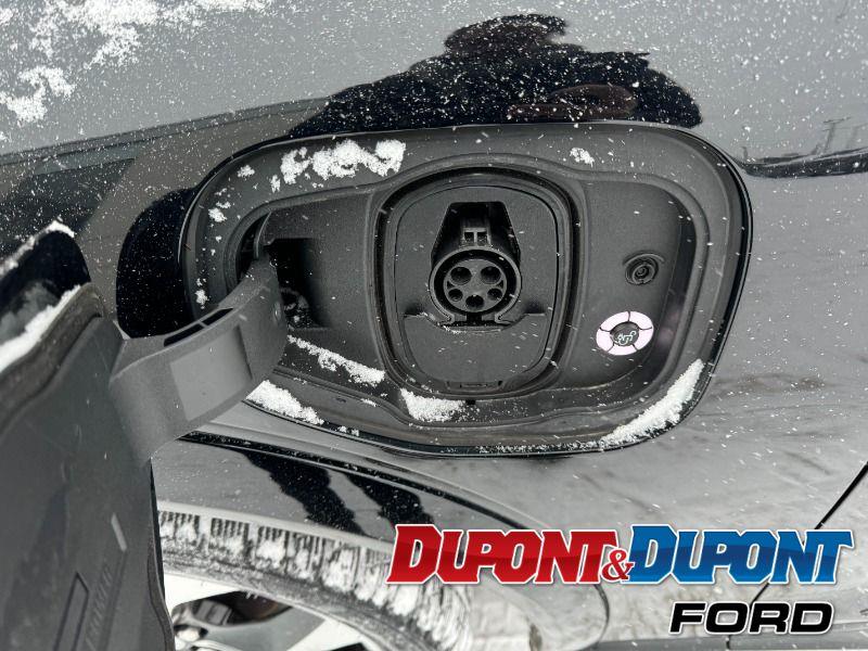 Ford Mustang Mach-e 9