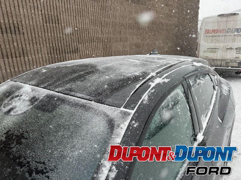 Ford Mustang Mach-e 11