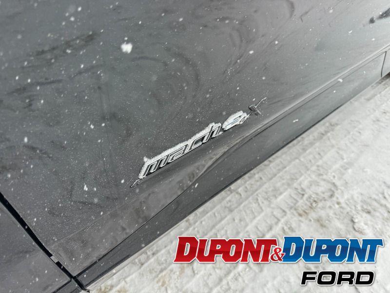 Ford Mustang Mach-e 12