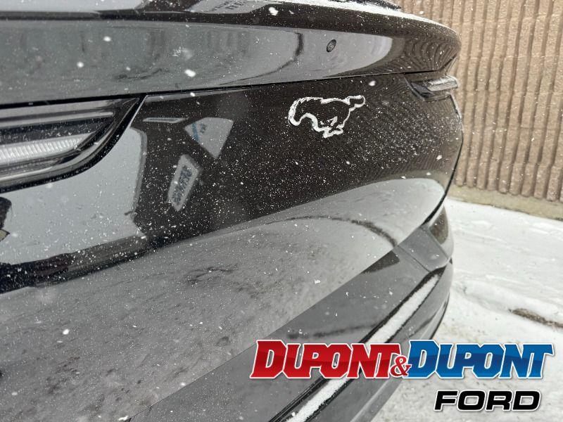 Ford Mustang Mach-e 14