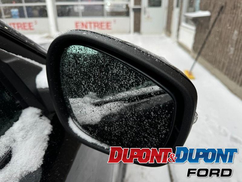 Ford Mustang Mach-e 15