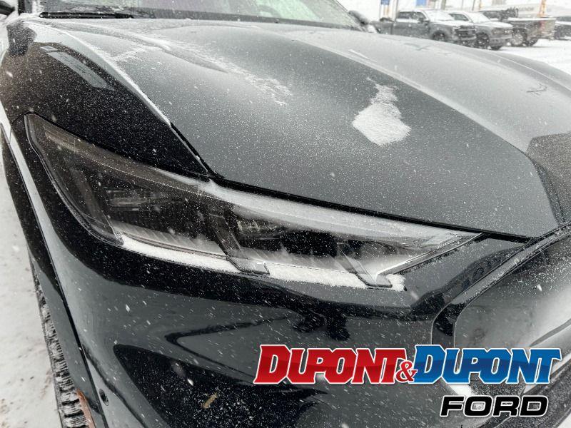 Ford Mustang Mach-e 16