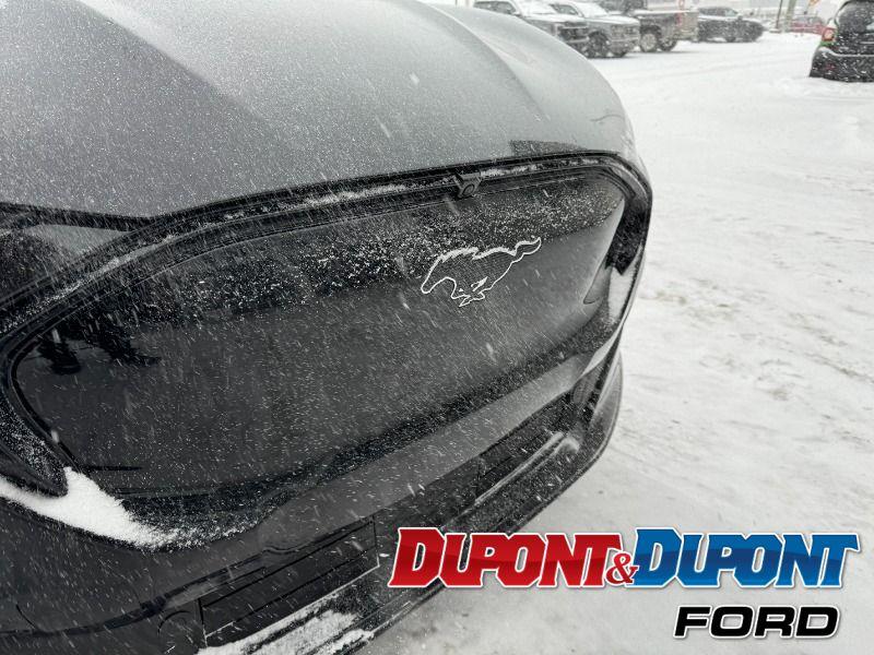 Ford Mustang Mach-e 17