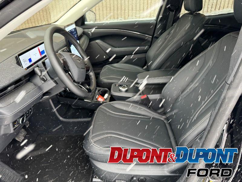 Ford Mustang Mach-e 19