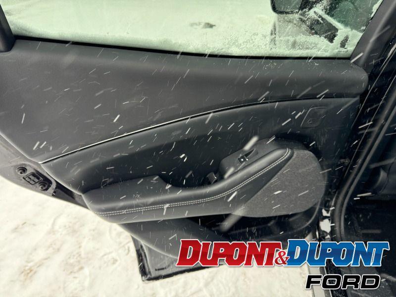 Ford Mustang Mach-e 20