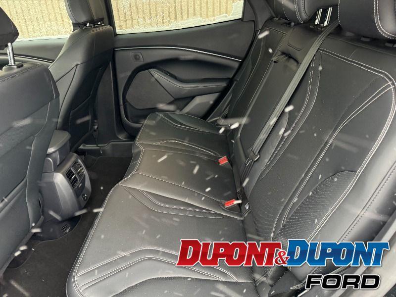 Ford Mustang Mach-e 21