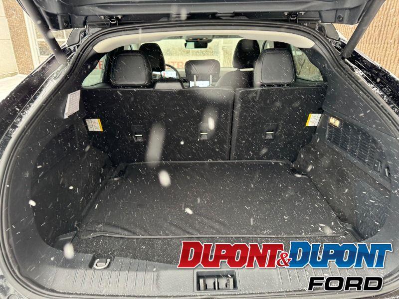 Ford Mustang Mach-e 22