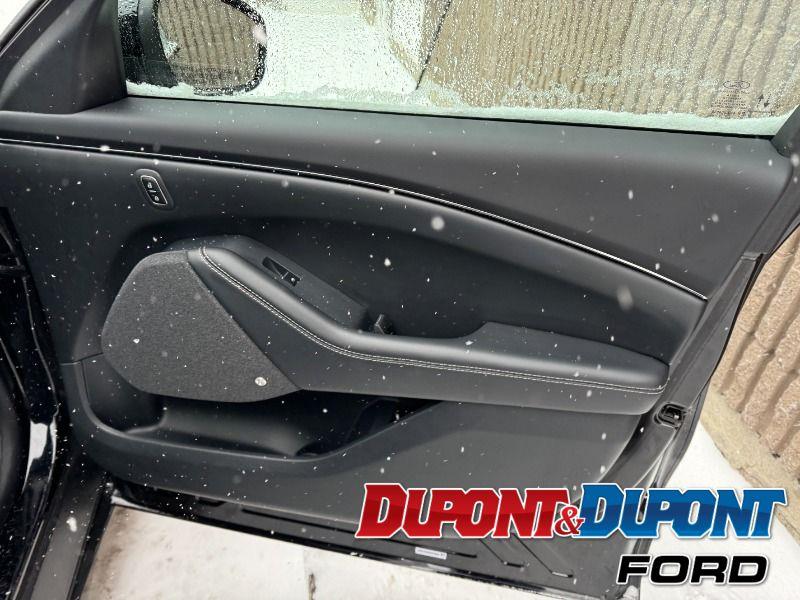 Ford Mustang Mach-e 25