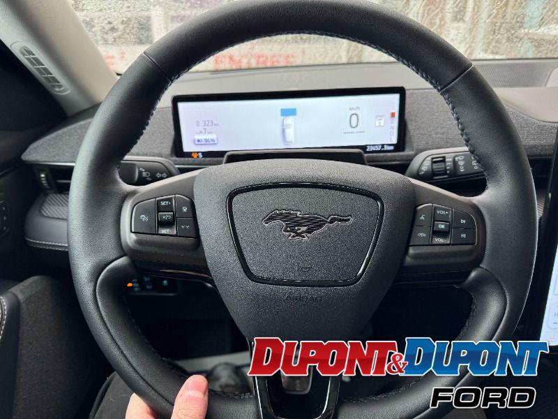 Ford Mustang Mach-e 29