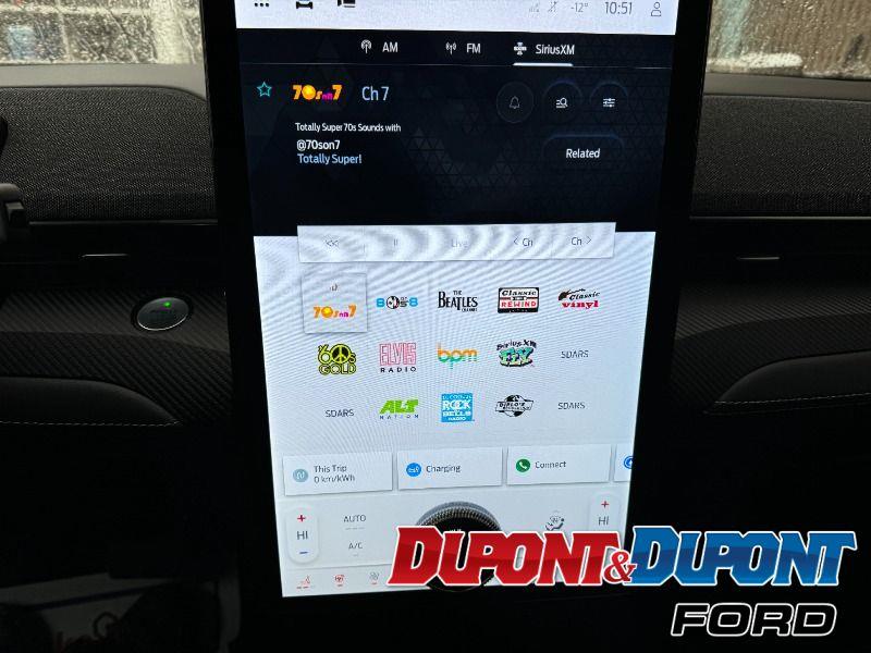 Ford Mustang Mach-e 30