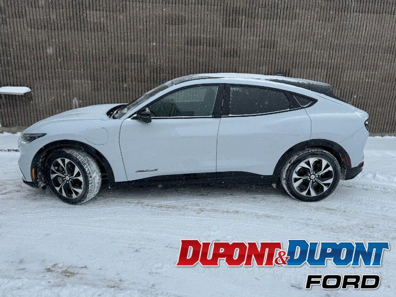 Ford Mustang Mach-e 2