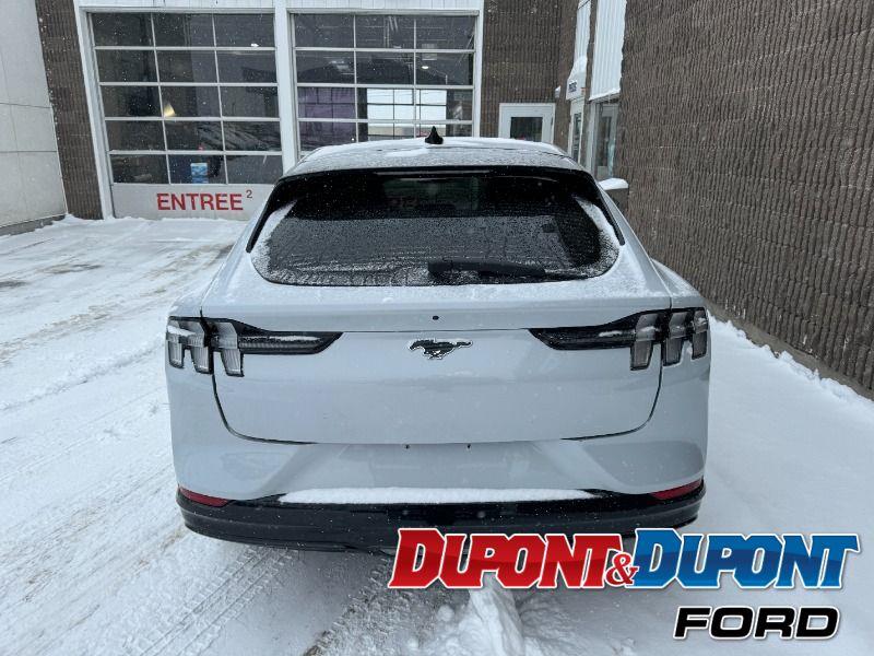 Ford Mustang Mach-e 4