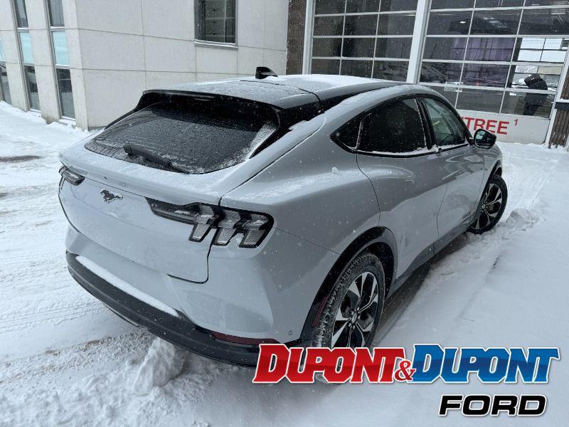 Ford Mustang Mach-e 5