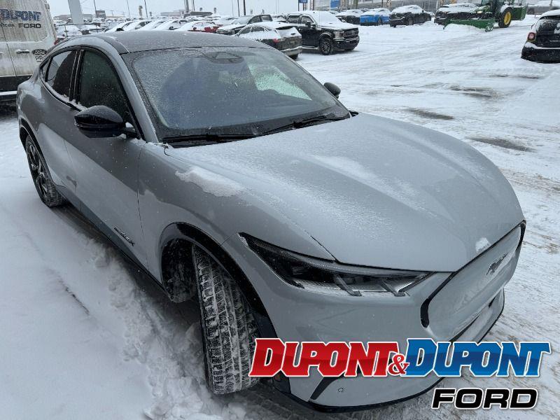 Ford Mustang Mach-e 6