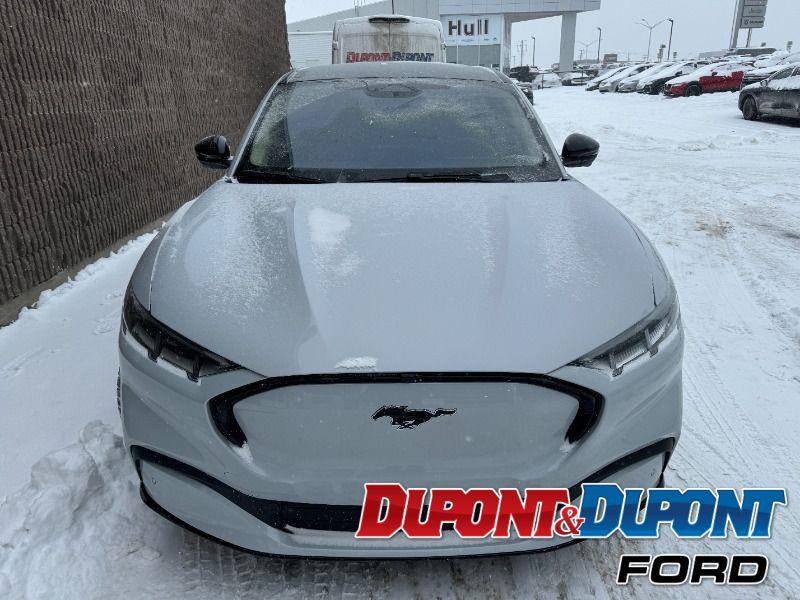 Ford Mustang Mach-e 7