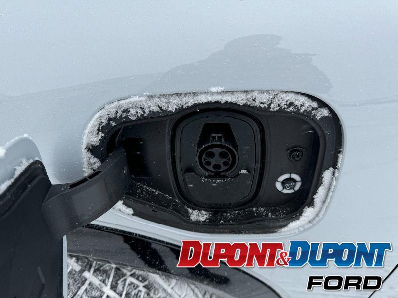 Ford Mustang Mach-e 9