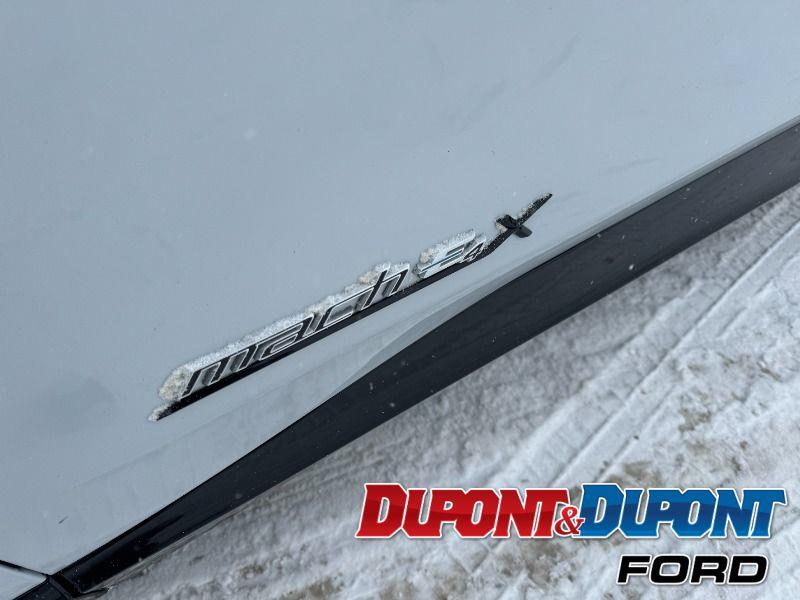 Ford Mustang Mach-e 10