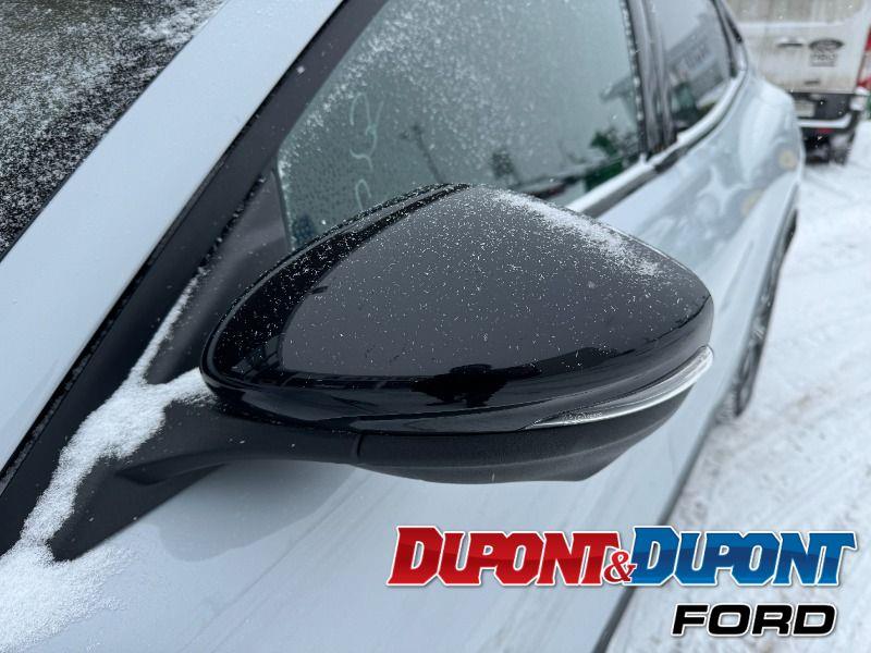 Ford Mustang Mach-e 11