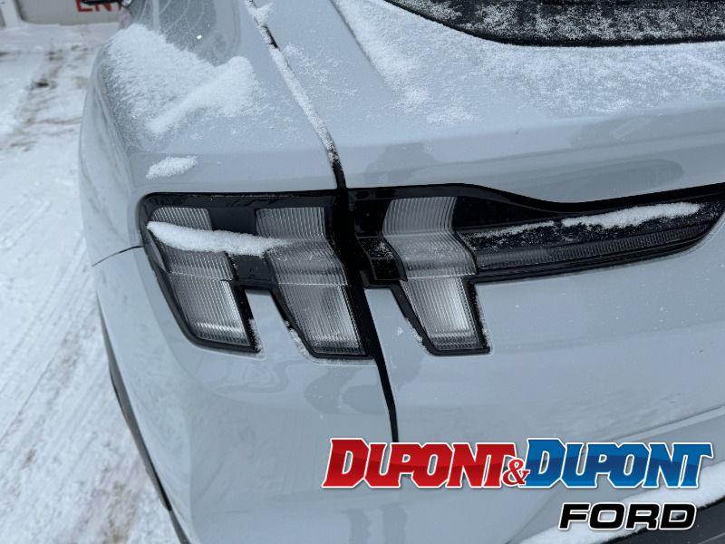 Ford Mustang Mach-e 13