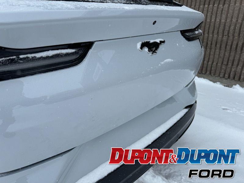 Ford Mustang Mach-e 14