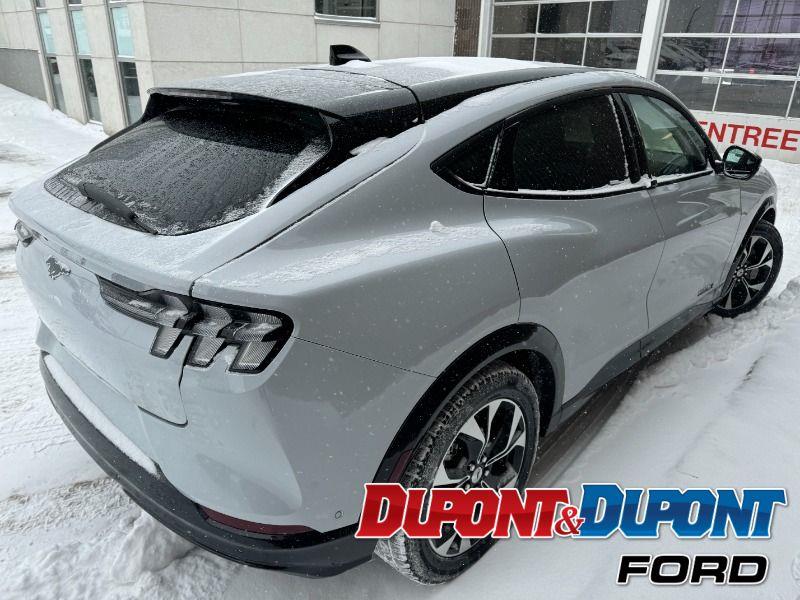 Ford Mustang Mach-e 15