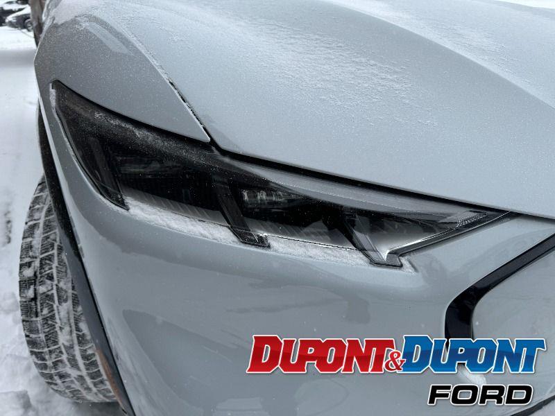 Ford Mustang Mach-e 16