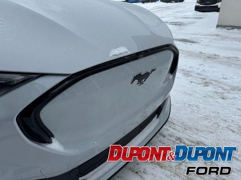 Ford Mustang Mach-e 17