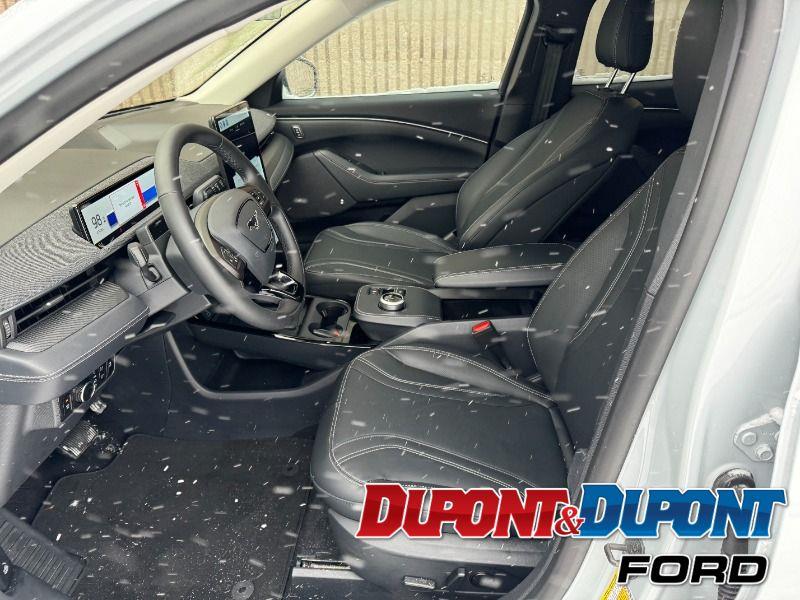 Ford Mustang Mach-e 19