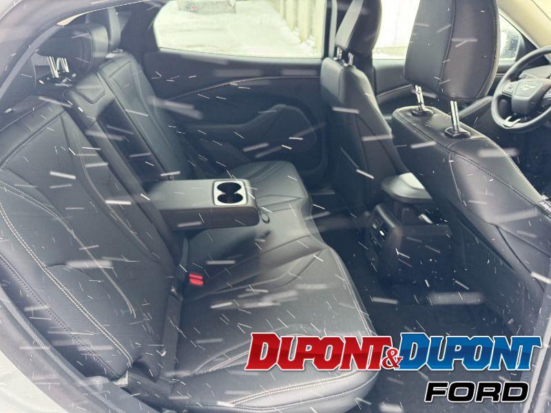 Ford Mustang Mach-e 22