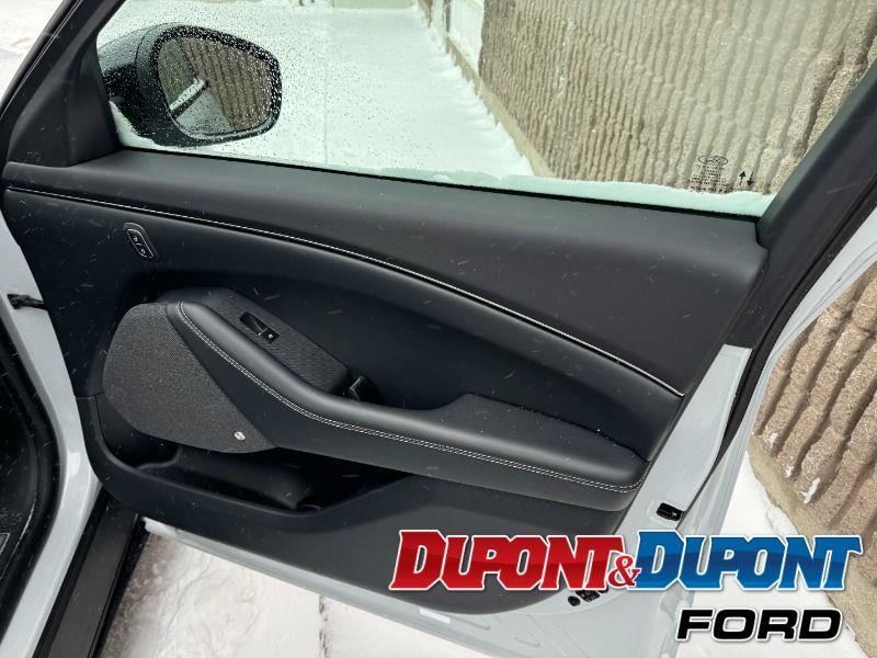 Ford Mustang Mach-e 23