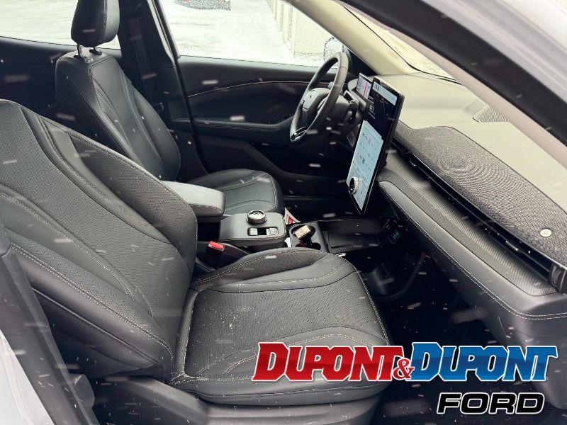 Ford Mustang Mach-e 24