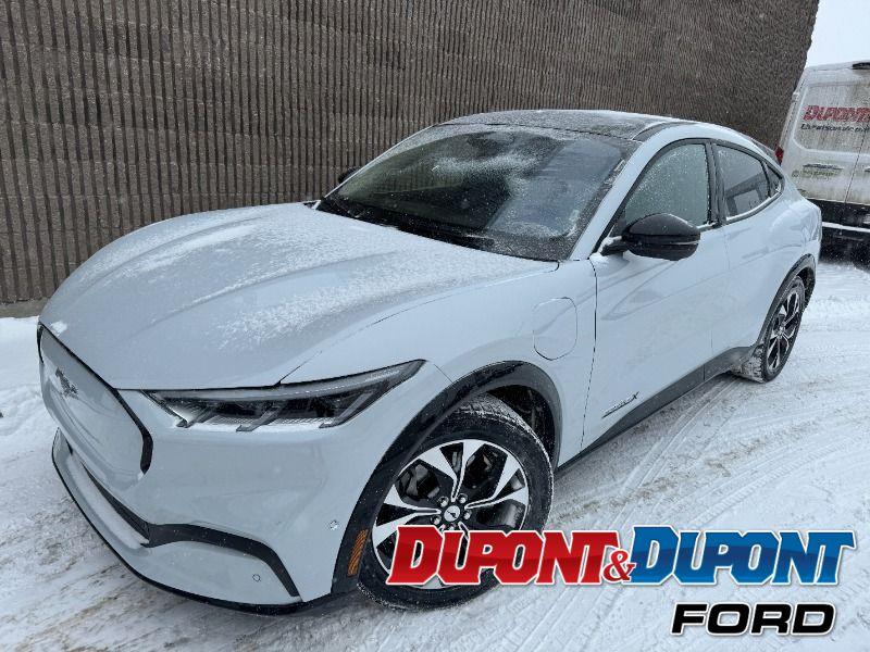 Ford Mustang Mach-e 29