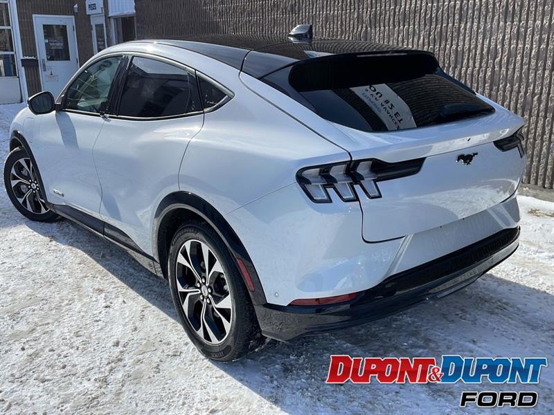 Ford Mustang Mach-e 2