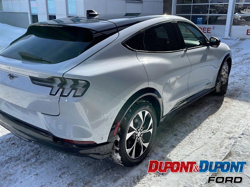 Ford Mustang Mach-e 3