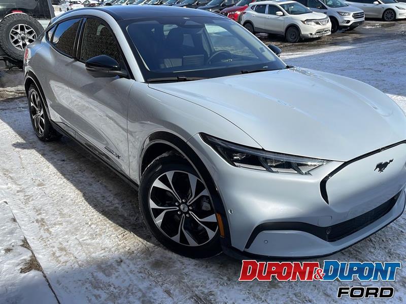 Ford Mustang Mach-e 4