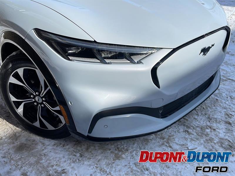 Ford Mustang Mach-e 5