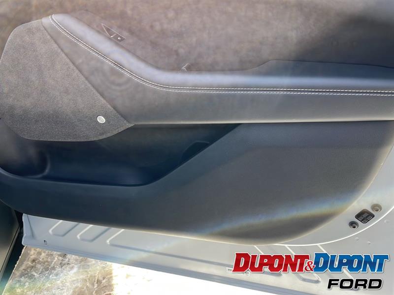 Ford Mustang Mach-e 10