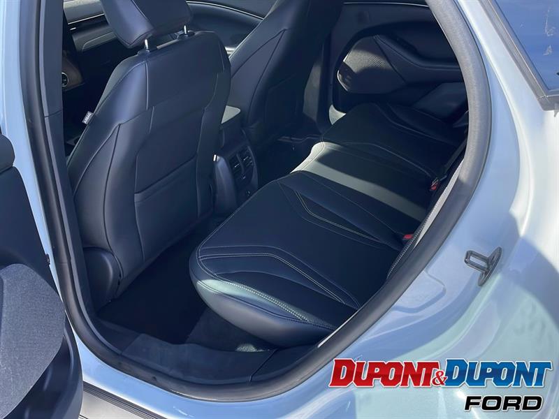 Ford Mustang Mach-e 15