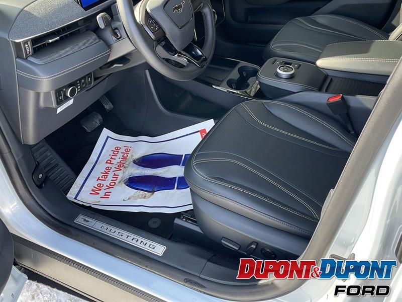 Ford Mustang Mach-e 17