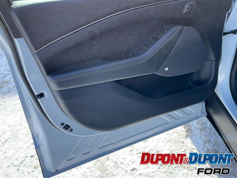 Ford Mustang Mach-e 18