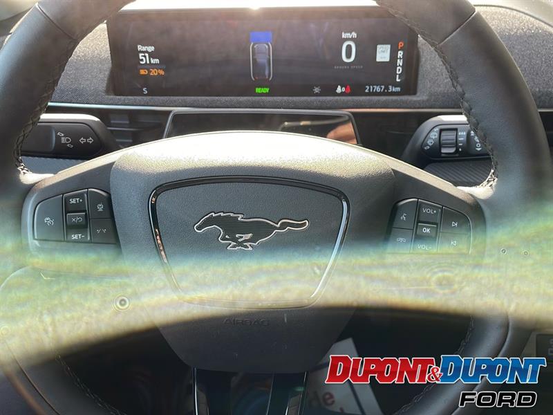 Ford Mustang Mach-e 23